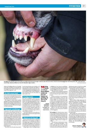 strengnastidning-20240328_000_00_00_007.pdf