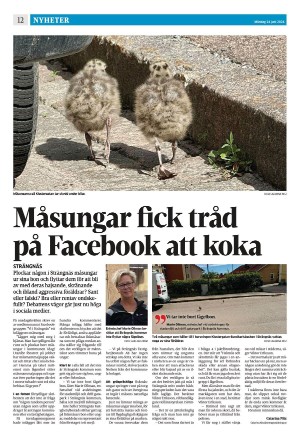 strengnastidning-20240624_000_00_00_012.pdf