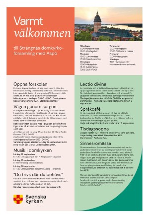 strengnastidning-20240823_000_00_00_009.pdf