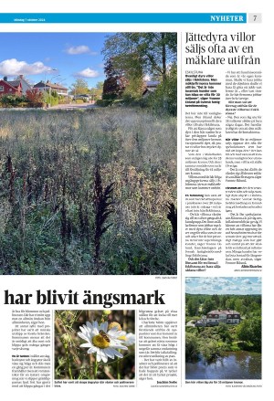 strengnastidning-20241007_000_00_00_007.pdf