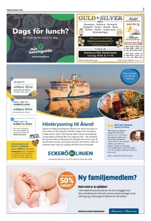 strengnastidning-20241008_000_00_00_003.pdf