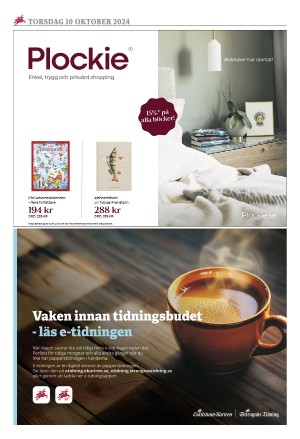strengnastidning-20241010_000_00_00_020.pdf