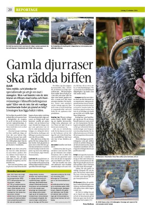 strengnastidning-20241012_000_00_00_020.pdf