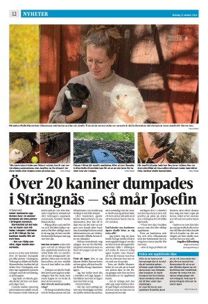 strengnastidning-20241021_000_00_00_012.pdf