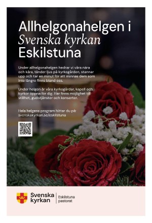 strengnastidning-20241028_000_00_00_005.pdf