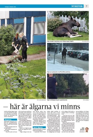 strengnastidning-20241031_000_00_00_007.pdf