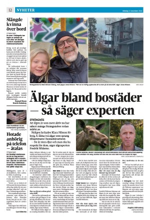 strengnastidning-20241111_000_00_00_012.pdf