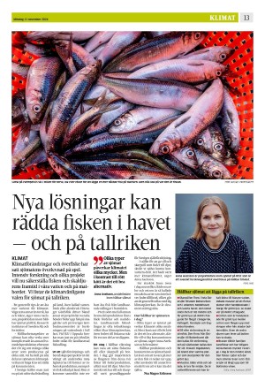 strengnastidning-20241111_000_00_00_013.pdf