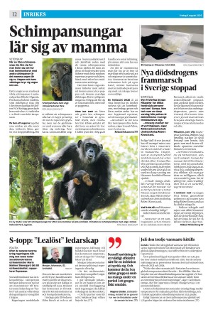 strengnastidning-20250808_000_00_00_012.pdf