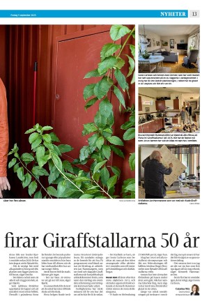 strengnastidning-20250905_000_00_00_013.pdf