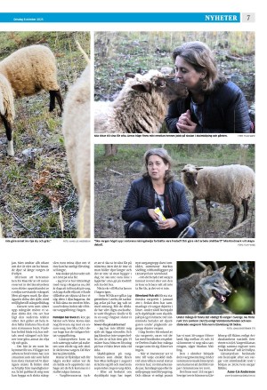 strengnastidning-20251008_000_00_00_007.pdf