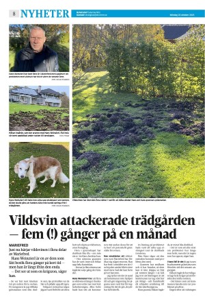 strengnastidning-20251020_000_00_00_008.pdf