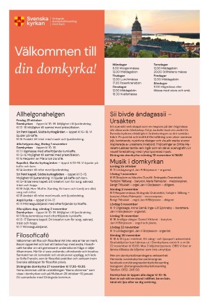 strengnastidning-20251024_000_00_00_009.pdf
