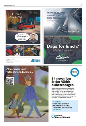 strengnastidning-20251114_000_00_00_005.pdf