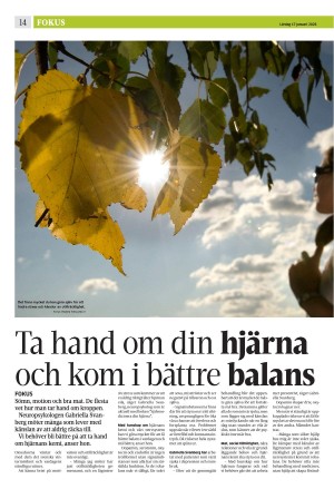 strengnastidning-20260117_000_00_00_014.pdf