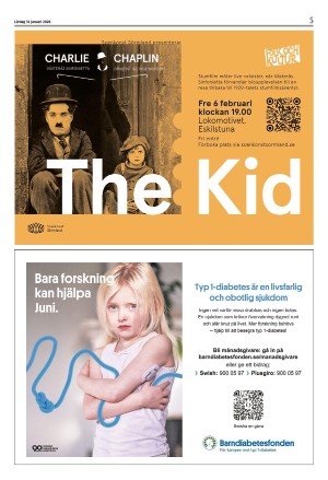 strengnastidning-20260131_000_00_00_005.pdf