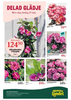 sttidningen-20250521_000_00_00_011.pdf