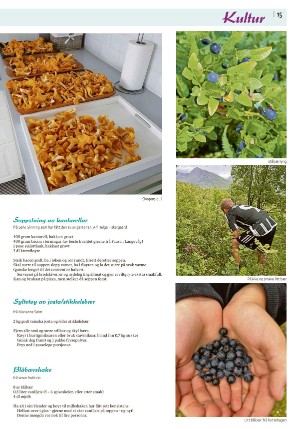 sulaposten-20240808_000_00_00_015.pdf