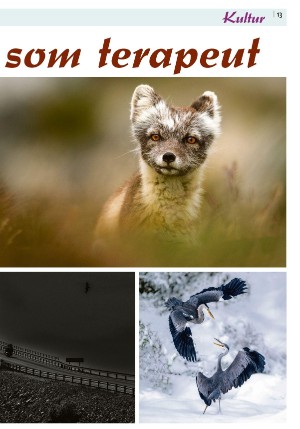 sulaposten-20241121_000_00_00_013.pdf