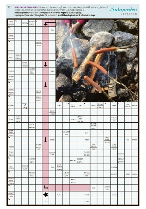 sulaposten-20250320_000_00_00_012.pdf