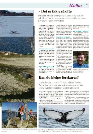sulaposten-20250410_000_00_00_011.pdf