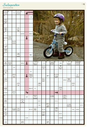 sulaposten-20250410_000_00_00_023.pdf