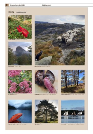 suldalsposten-20221005_000_00_00_014.pdf