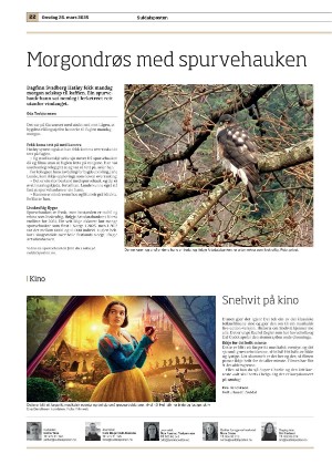 suldalsposten-20250326_000_00_00_022.pdf