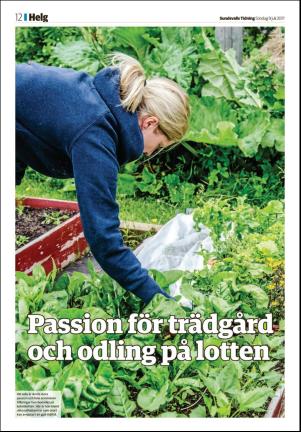 sundsvallstidning-20170709_000_00_00_012.pdf