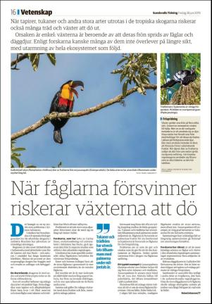 sundsvallstidning-20190628_000_00_00_016.pdf