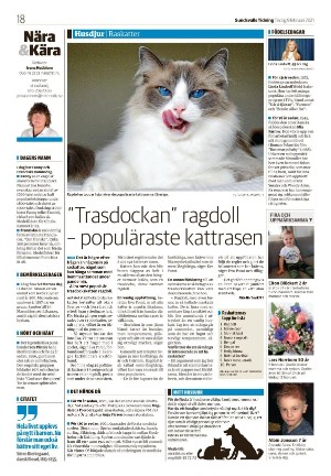 sundsvallstidning-20210209_000_00_00_018.pdf