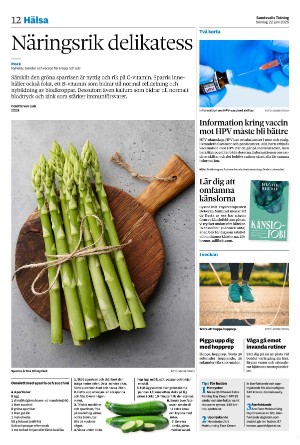 sundsvallstidning-20250622_000_00_00_012.pdf