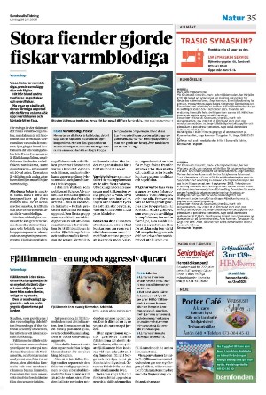 sundsvallstidning-20250726_000_00_00_035.pdf