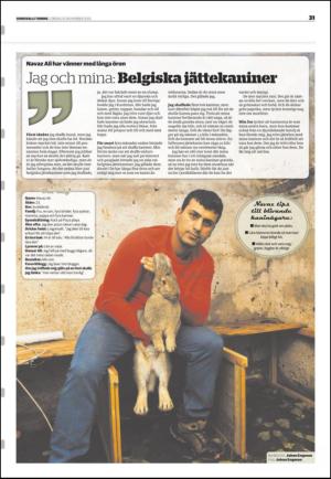 sundsvallstidning_b-20121110_000_00_00_031.pdf
