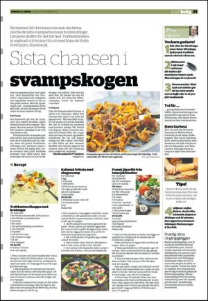 sundsvallstidning_b-20121110_000_00_00_033.pdf