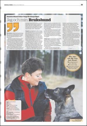 sundsvallstidning_b-20121124_000_00_00_035.pdf