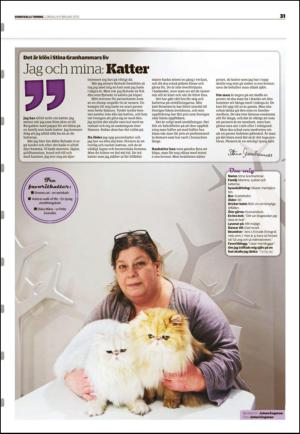 sundsvallstidning_b-20130209_000_00_00_031.pdf