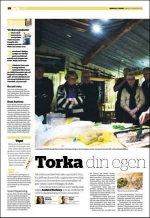 sundsvallstidning_b-20130216_000_00_00_028.pdf