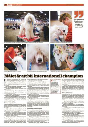 sundsvallstidning_b-20130303_000_00_00_030.pdf