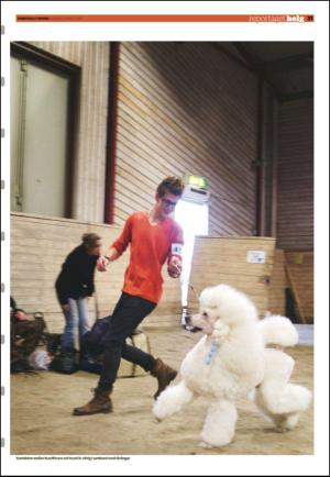 sundsvallstidning_b-20130303_000_00_00_031.pdf