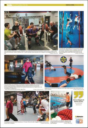 sundsvallstidning_b-20130331_000_00_00_032.pdf