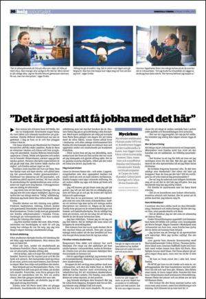 sundsvallstidning_b-20130414_000_00_00_030.pdf