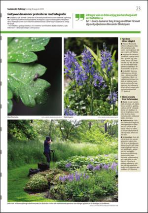 sundsvallstidning_b-20130818_000_00_00_023.pdf