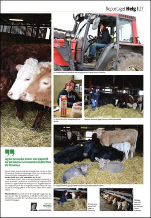 sundsvallstidning_b-20150412_000_00_00_027.pdf