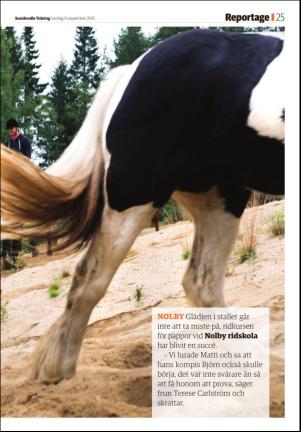 sundsvallstidning_b-20150913_000_00_00_025.pdf