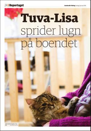 sundsvallstidning_b-20160103_000_00_00_024.pdf