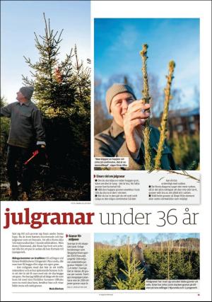 sundsvallstidning_bilag-20181201_000_00_00_015.pdf