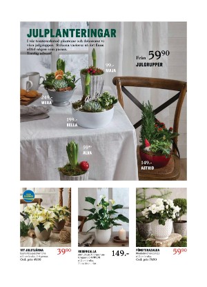sundsvallstidning_bilag-20211123_000_00_00_004.pdf