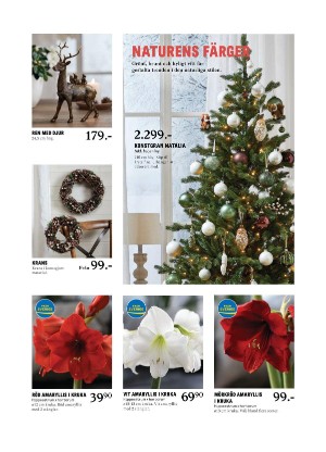 sundsvallstidning_bilag-20211123_000_00_00_007.pdf