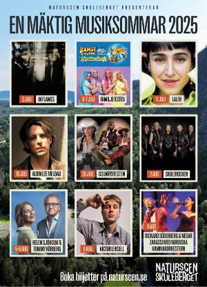 sundsvallstidning_bilag1-20250620_000_00_00_048.pdf